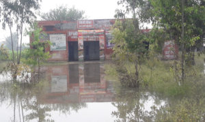 रादौर के गांव लालछप्पर के कोप्रेटिव बैंक में घुसा बाढ का पानी। 