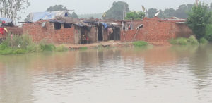 रादौर के गांव लालछप्पर की भटठा कालौनी में घुसा बाढ का पानी। 