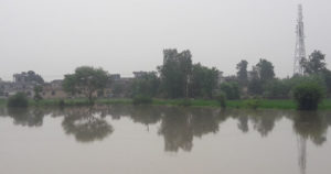 रादौर में बाढ के पानी से घिरा गांव लालछप्पर। 