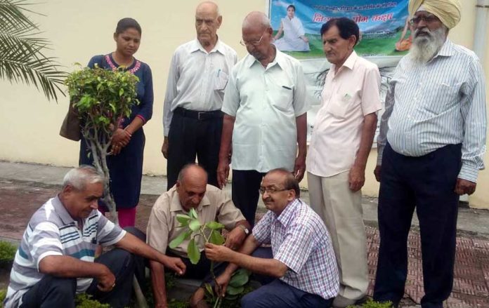 शास्त्री कालोनी अपना पार्क में पौधा रोपण करते पदाधिकारी