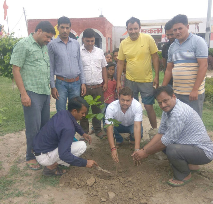 इंकलाब मंदिर गुमथला में पौधारोपण करते ग्रामीण। 