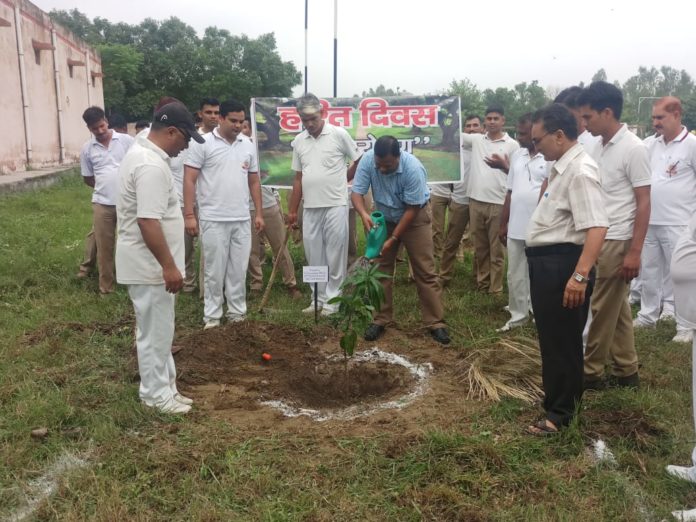 yamunanagar hulchul tree plantation n jagadhri wokshop railway colony