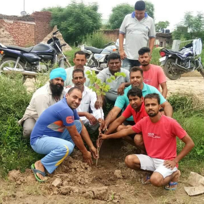 गांव सढूरा में पौधारोपण करते ग्रामीण। 