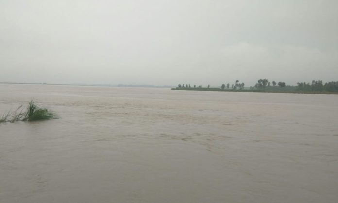 yamunanagar hulchul radaur yamuna river flood 17 उफान पर बहती यमुनानदी।