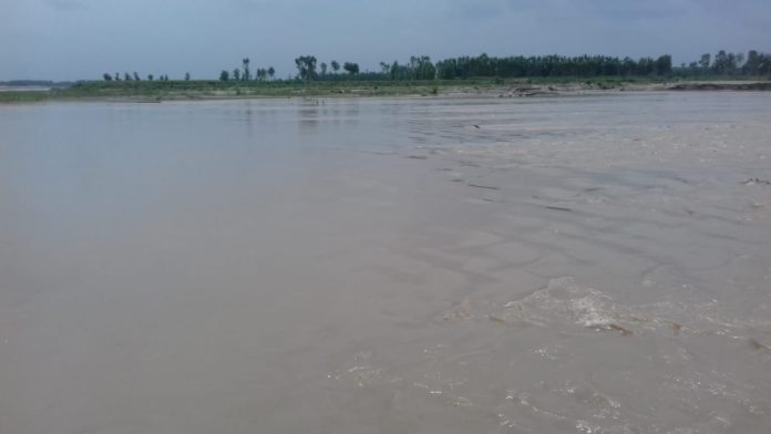 yamunanagar hulchul yamuna nadi radaur