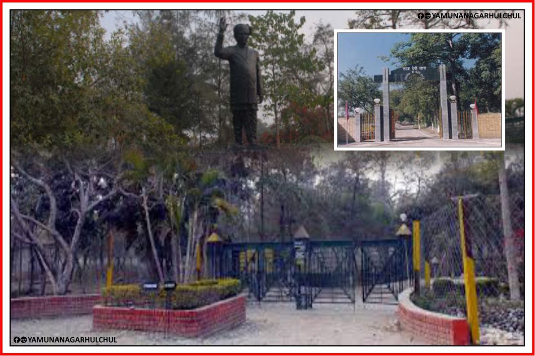 Ch-Devi-Lal-Herbal-Nature-Park-Ayurvedic-Plants-Aushdhiya-Places-in-Yamunanagar-to-Visit-Haryana-Tourisam