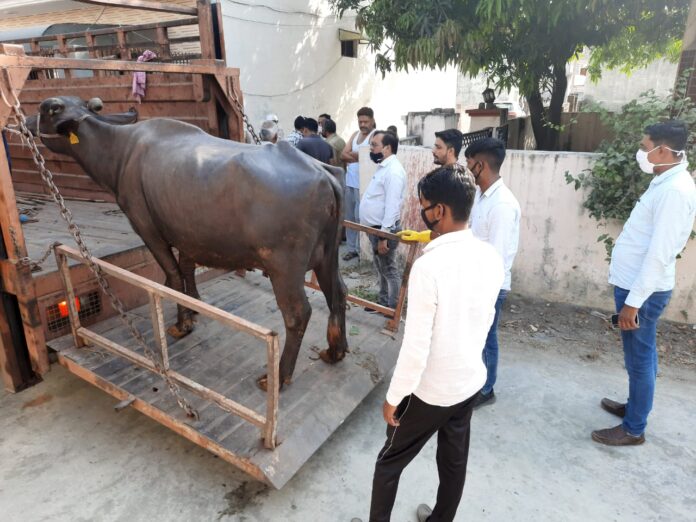 nagar nigam yamunanagar jagadhri, yamunanagar hulchul, #YamunanagarHulchul, #यमुनानगरहलचल, #यमुनानगर_हलचल, #Yamunanagar, #यमुनानगर, Yamunanagar News, Yamunanagar City News,